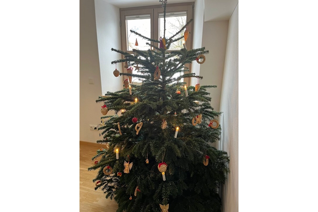 Ein selbstgeschmückter Christbaum
